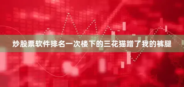 炒股票软件排名一次楼下的三花猫蹭了我的裤腿