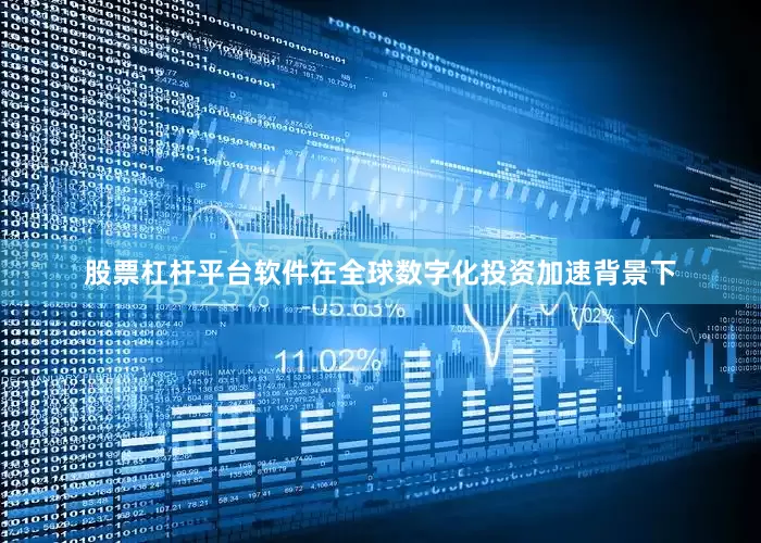 股票杠杆平台软件　　在全球数字化投资加速背景下