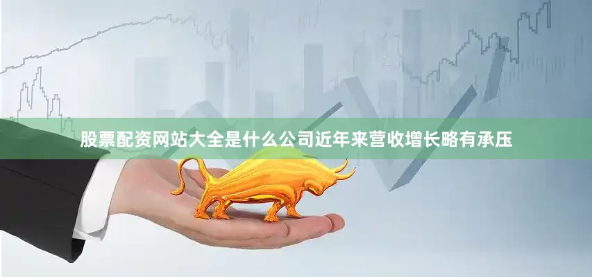 股票配资网站大全是什么公司近年来营收增长略有承压