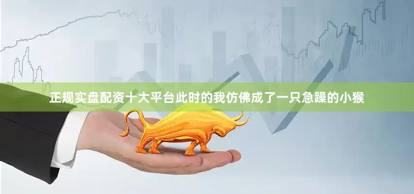 正规实盘配资十大平台此时的我仿佛成了一只急躁的小猴